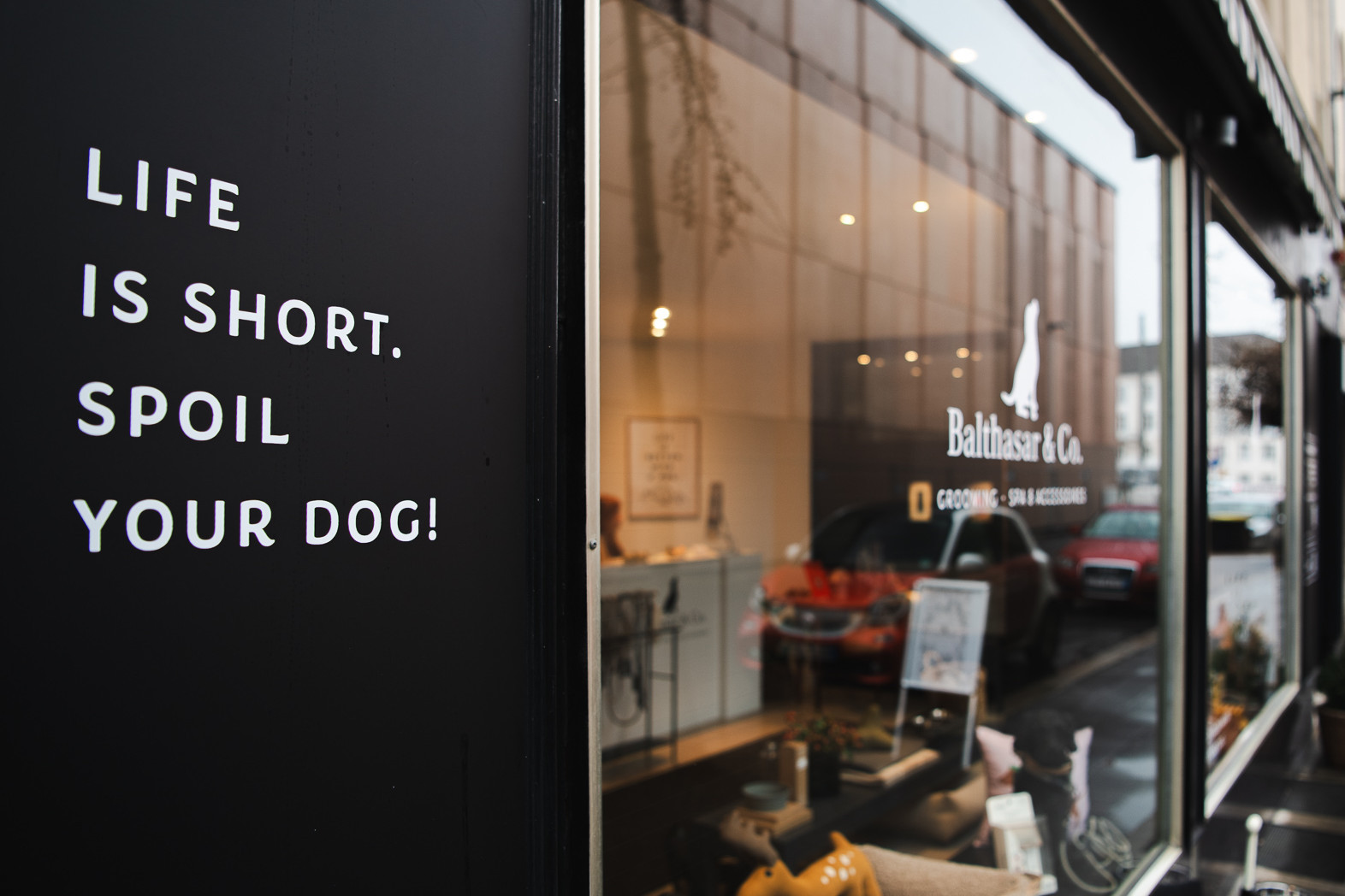 Balthasar_006_low