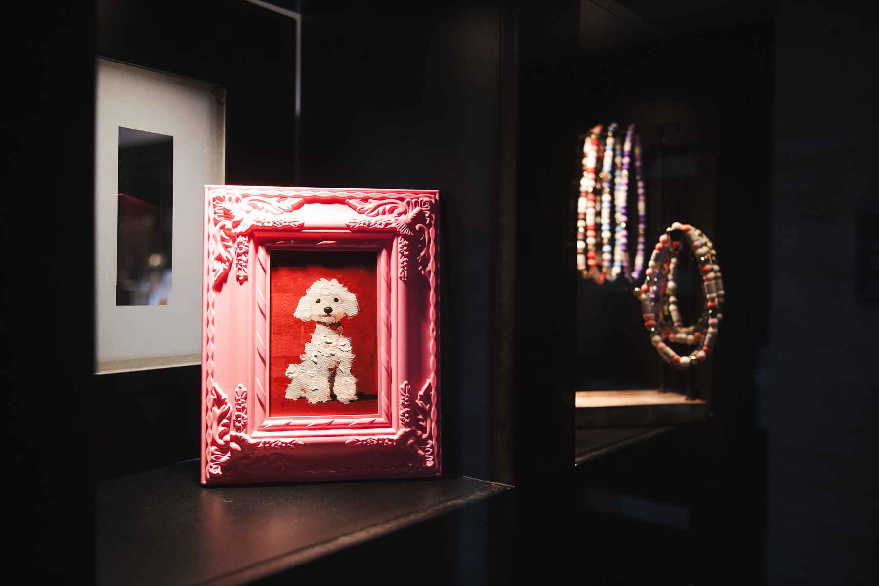 Accessoires und Dekoration bei Balthasar & Co. Hundefriseur in Kassel