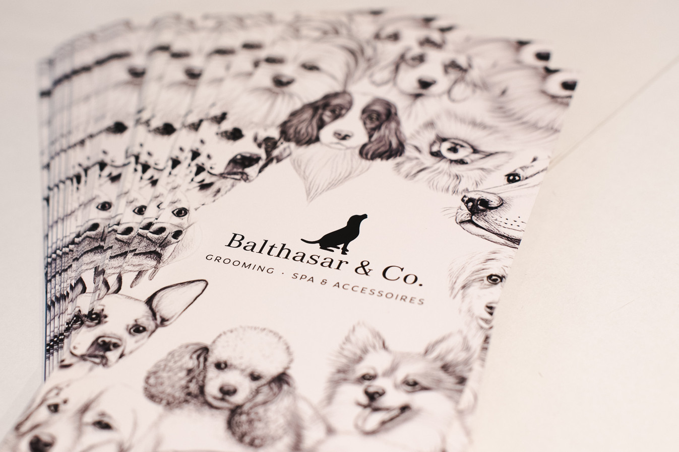 Flyer von Balthasar & Co. Grooming Spa und Accessoires in Kassel