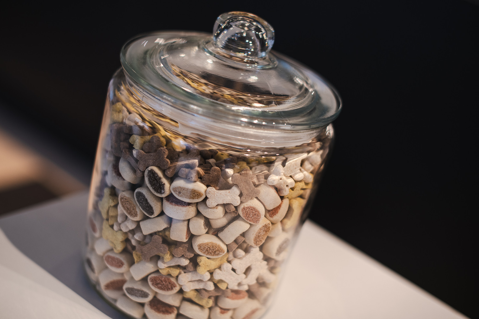 Leckerlis für Hunde bei Balthasar & Co. Hundefriseur in Kassel