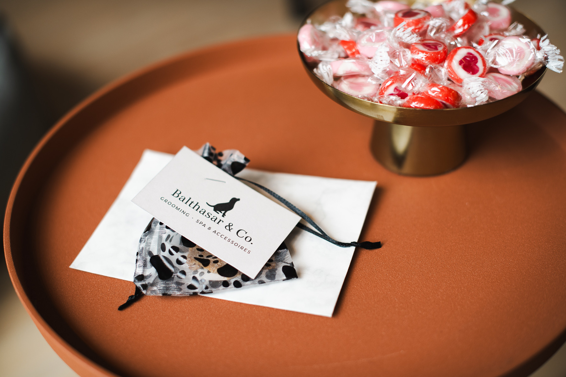 Visitenkarte von Balthasar & Co. Hundefriseur Kassel