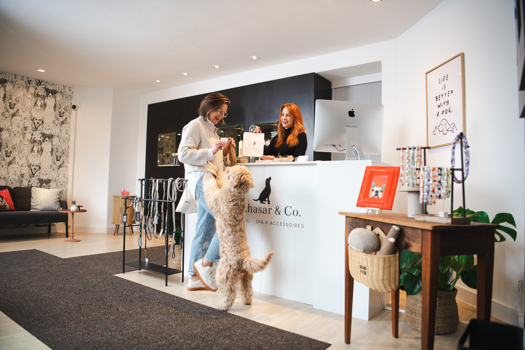 Kundin mit Hund an der Rezeption bei Balthasar & Co. Hundefriseur in Kassel