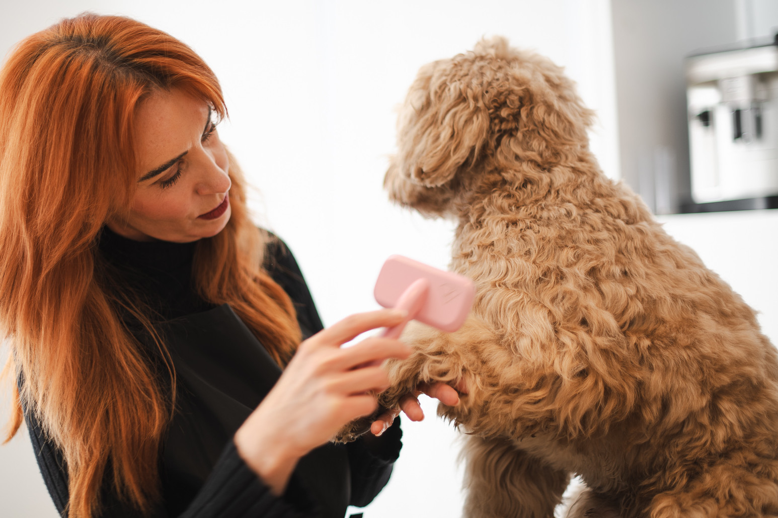 Pfotenpflege beim Hundefriseur Balthasar & Co. in Kassel
