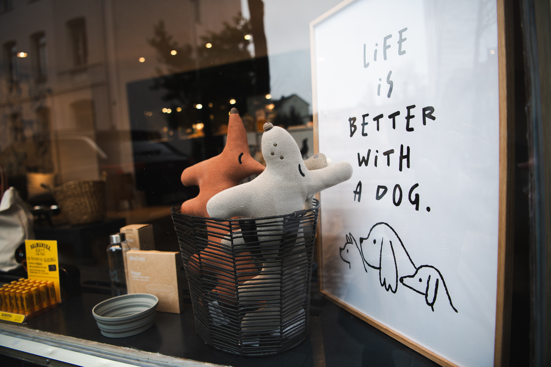 Schaufenster des Hundefriseurs Balthasar & Co. in Kassel